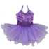 Little Girls Purple Sequin Strap Ballet Dress 24M-8 - SophiasStyle.com